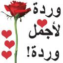 assalamou 3alaykom 905261